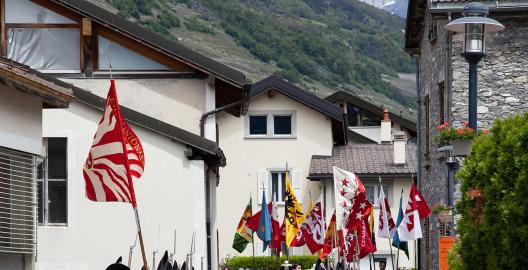 _MG_1463 copie