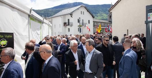 _MG_1642 copie