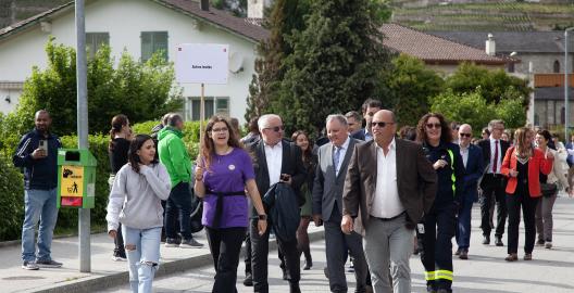 _MG_2390 copie